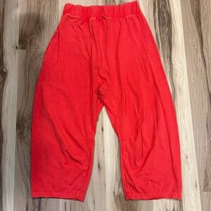 Free people hot shot Pants (no tag)